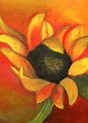 Tournesol de septembre, 2011